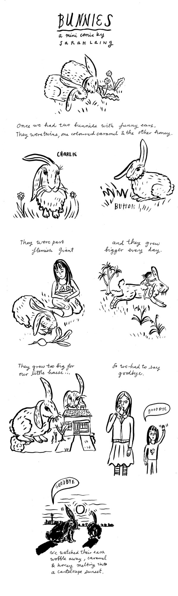 storylinesbunnies001